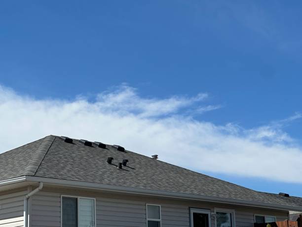 Best Roof Moss and Algae Removal  in East Whittier, CA